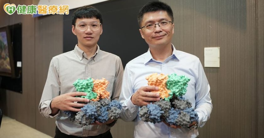 人類神經性疾病治療新曙光! 興大研究「細菌通道」成果登國際期刊
