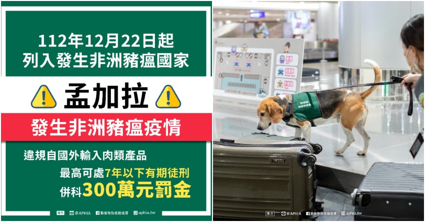 孟加拉爆非洲豬瘟 帶豬肉品入境台灣罰20萬元起跳