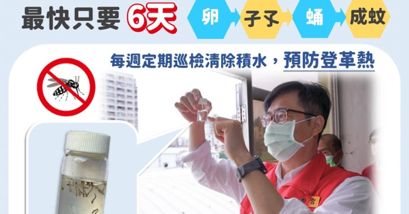 高雄男5週來首例本土登革熱 疾管署急定序釐清