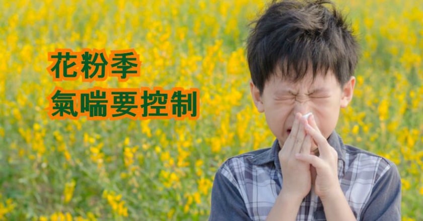 花開氣喘不控制 醫:氣管恐成硬橡皮管