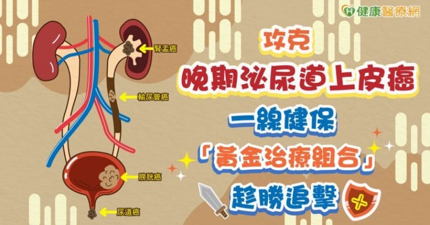 攻克晚期泌尿道上皮癌 一線健保「黃金治療組合」趁勝追擊