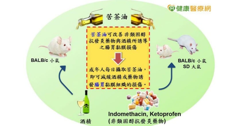 研究證實:苦茶油可緩解急性胃黏膜損傷