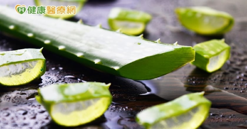 甩開暗沉肌與排便卡卡！　營養師曝光「蘆薈」3大功效