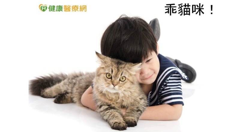 家中毛小孩多 研究:小Baby過敏機率越低
