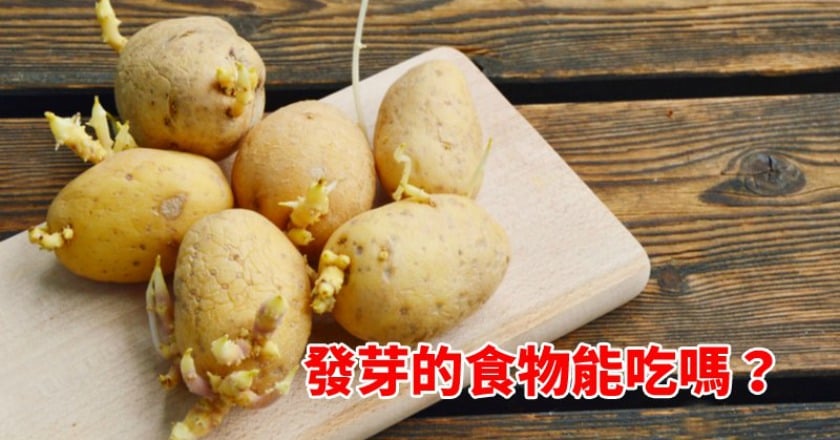 發芽食物能吃嗎？營養師來解答！