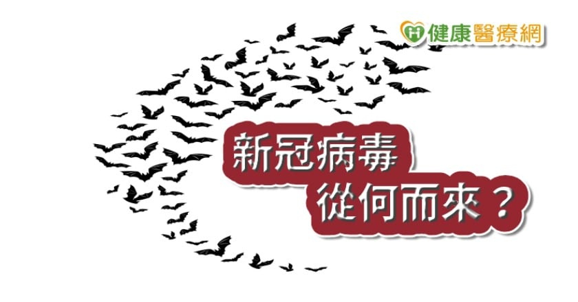 為何找出新冠病毒來源很重要？　SARS獵人帶你追溯人畜疾病源頭