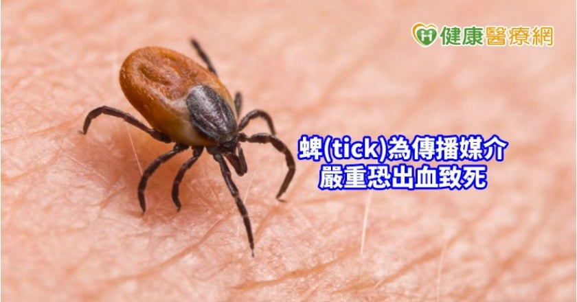 法定傳染病又增1病！　山區活動被牠叮上快就醫