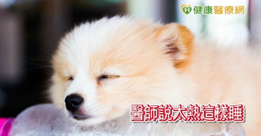 夏天太熱睡不著？　醫師提醒這幾點