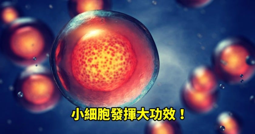 缺什麼補什麼！　揭密「細胞治療」如何奏效