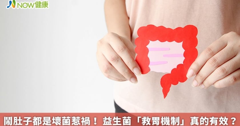 鬧肚子都是壞菌惹禍! 益生菌「救胃機制」真的有效?