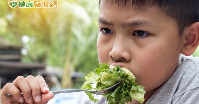 挑食者有福啦！　「這些食材」找對營養素一樣健康滿分