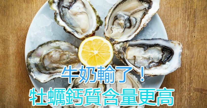 牛奶輸了！　牡蠣鈣質含量更高