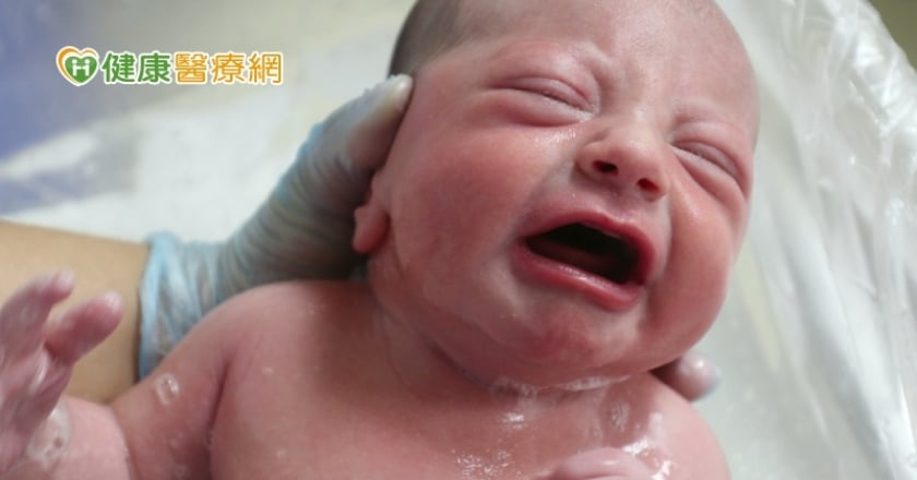 少子化危機!政府補助不孕治療 三代試管懷孕率破9成