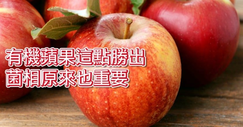有機蘋果這點贏了 研究:菌相均衡且豐富