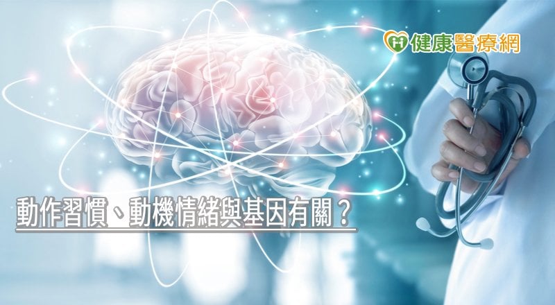 動作習慣、動機情緒與基因有關? 陽明神研所解密