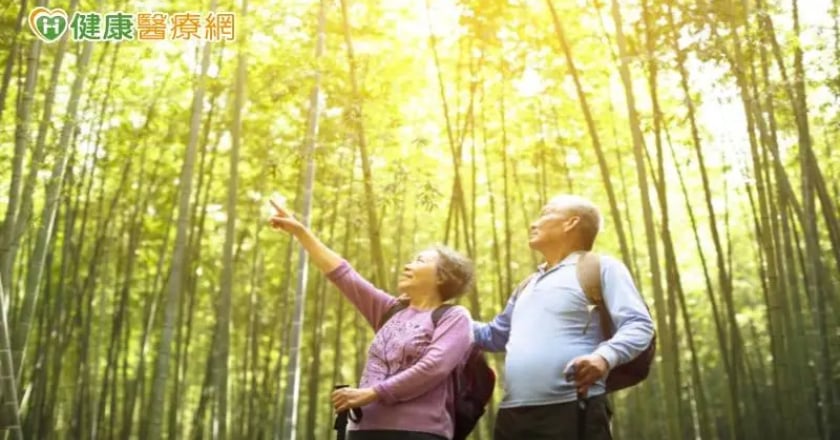 銀杏防失智？看綠色防近視？各種偏方一次破解