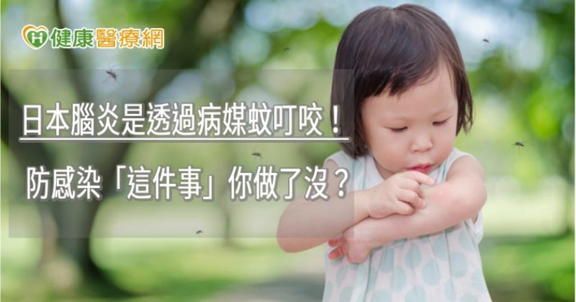 日本腦炎是透過病媒蚊叮咬! 防感染「這件事」你做了沒?