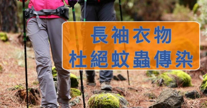登山被怪蟲咬到肚子　緊勾皮膚恐患傳染病