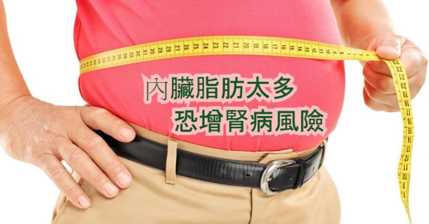 肥胖又添壞處 內臟脂肪增腎病風險