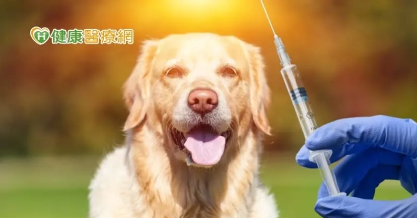 狂犬病死亡率近100% 愛犬接種疫苗成為「防疫汪汪隊」