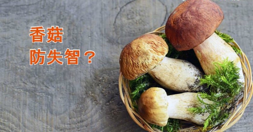吃香菇預防失智？　專家：多元蔬果最好
