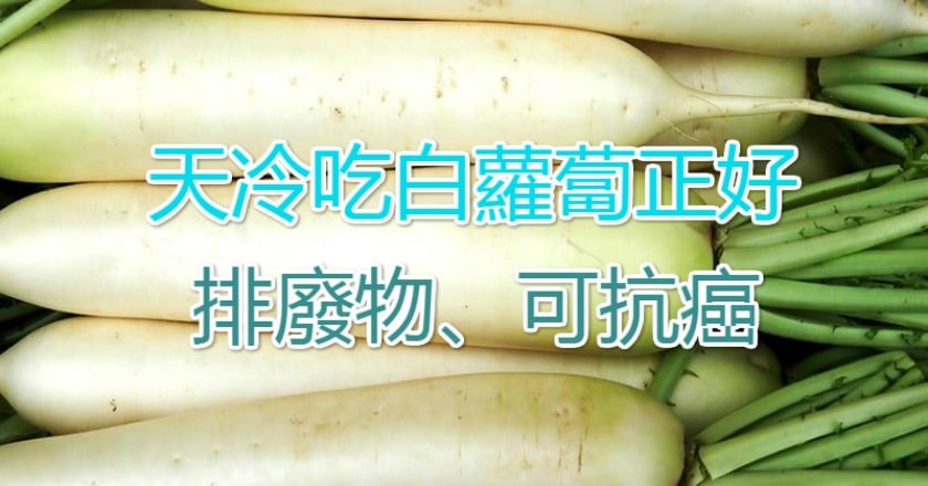 天冷吃白蘿蔔正好 排廢物、可抗癌