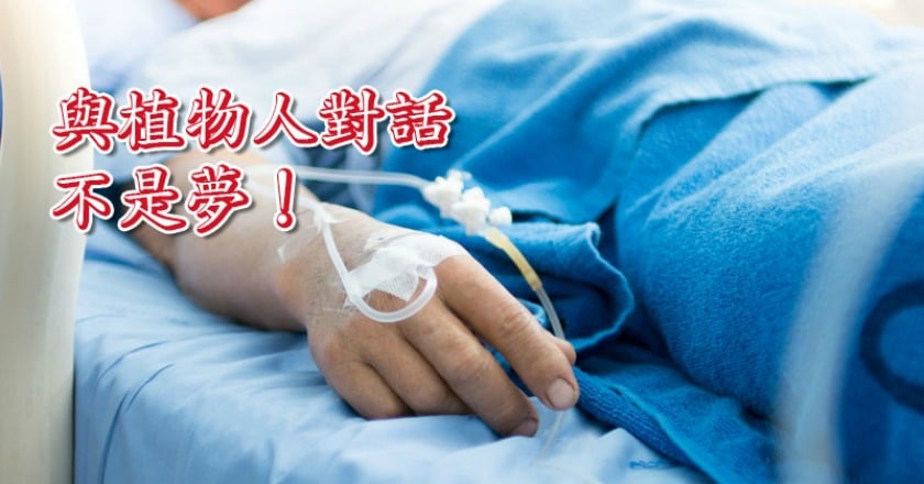 腦部造影技術 與植物人對話是有可能的!