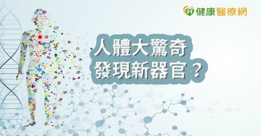 人體大驚奇！　2019年十大人體新發現（1）