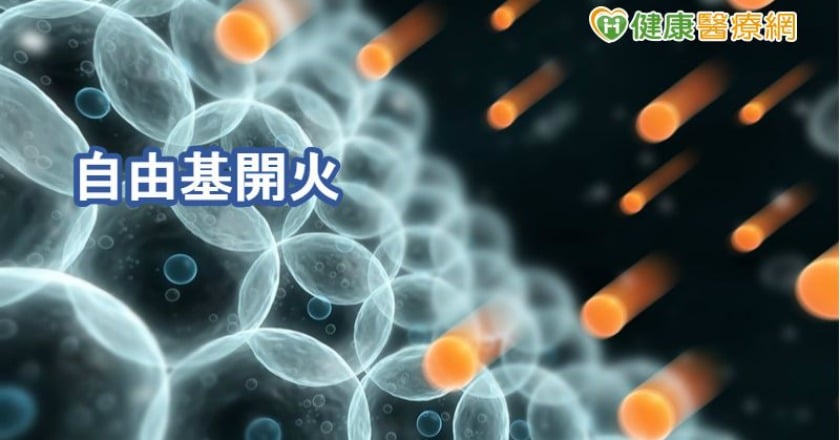 自由基走開! 抗氧化好朋友居然是「它」