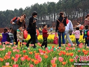 湖南植物園裏賞“最美春天”