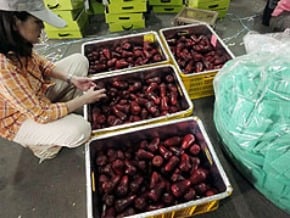 飛彈蓮霧登陸試賣　屏東農會有信心