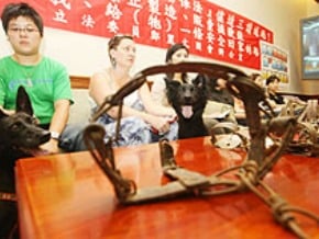 禁賣獸鋏　立委促修法速過 