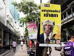 籲抵制選舉 泰國獅猴像上街競選