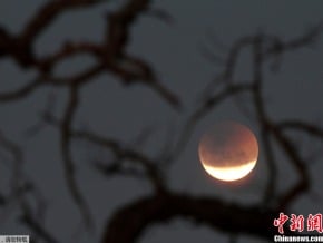 全球各地共賞紅月亮