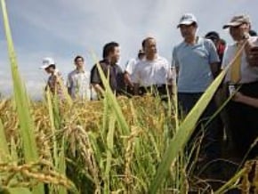 總統：推動改革 增農民收益
