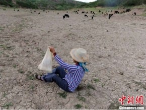 雲南部分地區面臨大面積乾旱