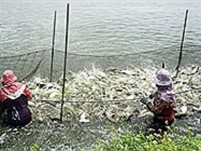 漁產銷陸有成 打造品牌為要 