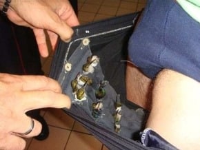 荷蘭男子內褲中私藏10餘隻活蜂鳥 闖關露餡