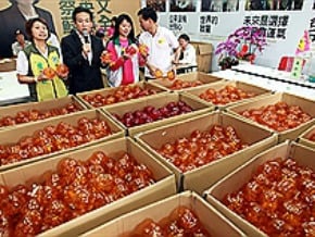 小豬工廠 台南英嘉總部忙翻天
