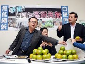 果價爭議 綠黨團：陳武雄下台 藍：蔡勿用負面文宣