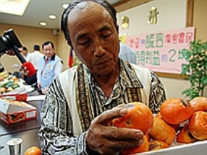 甜柿風暴
