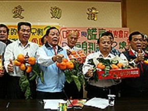 2元甜柿太扯 苗栗柿農怒吼