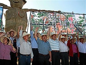 柿非不分 農民戴斗笠抗議