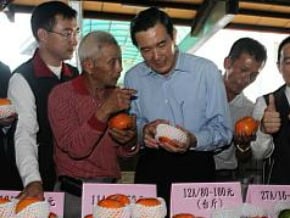 柿價低 果農：誰講的誰道歉