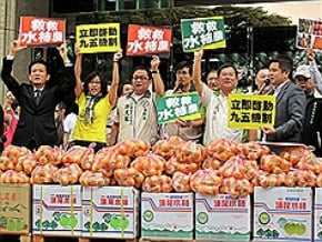 搶救水柿 小英總部賣出5千斤