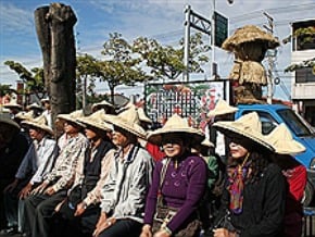 農團發起一人一信 籲蔡修政綱