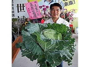 選民創意多 贈禮參選人送吉利