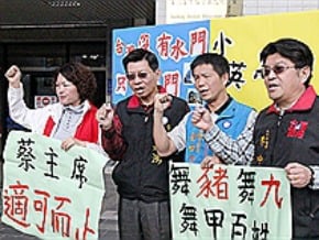 藍中市議員告蔡英文涉違選罷法