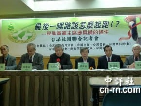獨派：民進黨主席應有國際觀