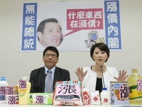 綠委促凍電價 助民眾聲請國賠